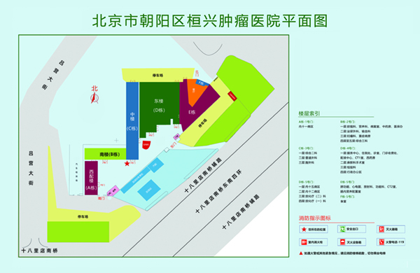 日逼性交北京市朝阳区桓兴肿瘤医院平面图